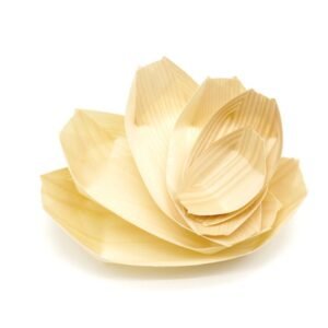 Disposable Wooden Boat Trays